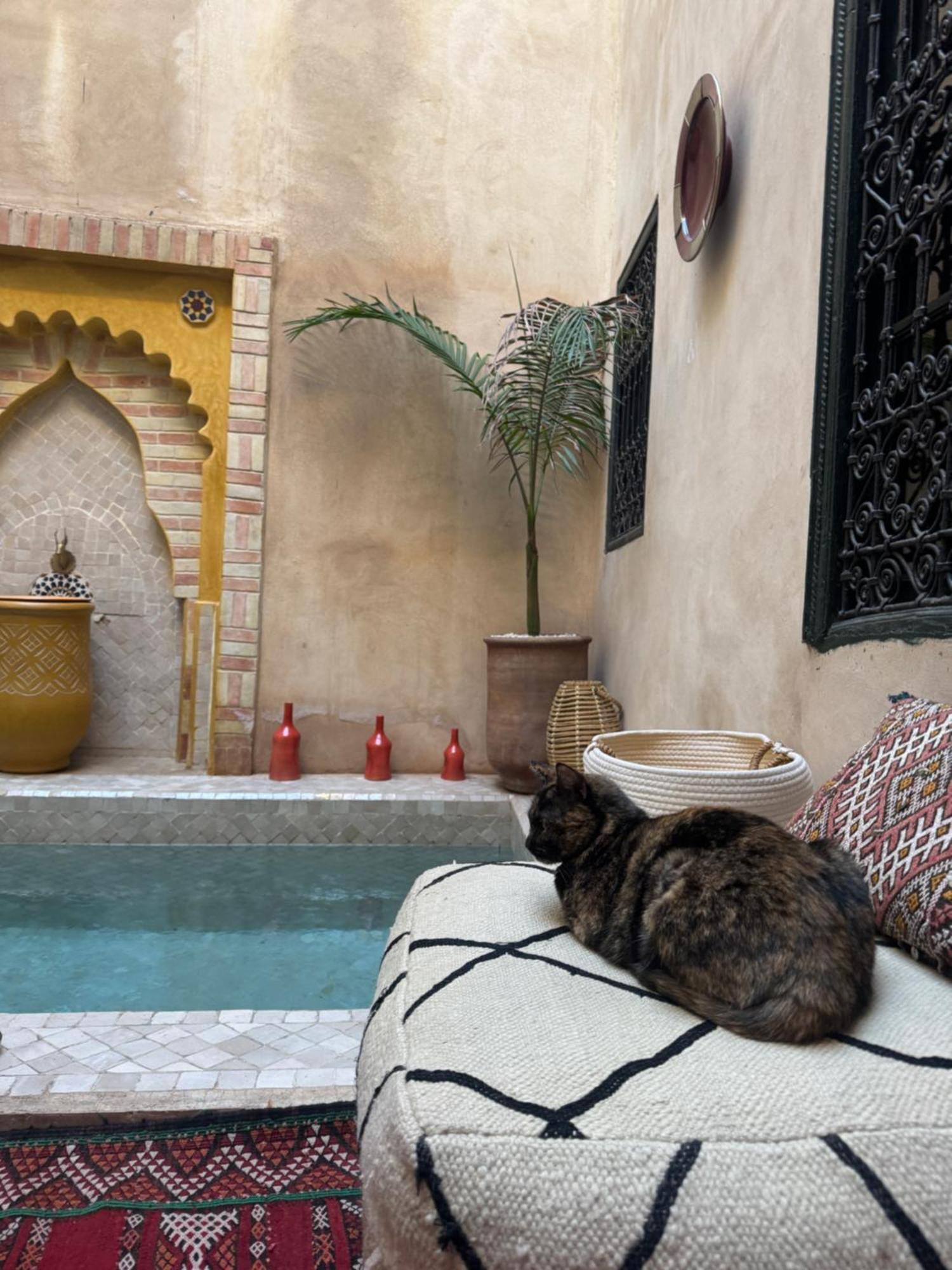 Riad Paquerette Маракеш Екстериор снимка